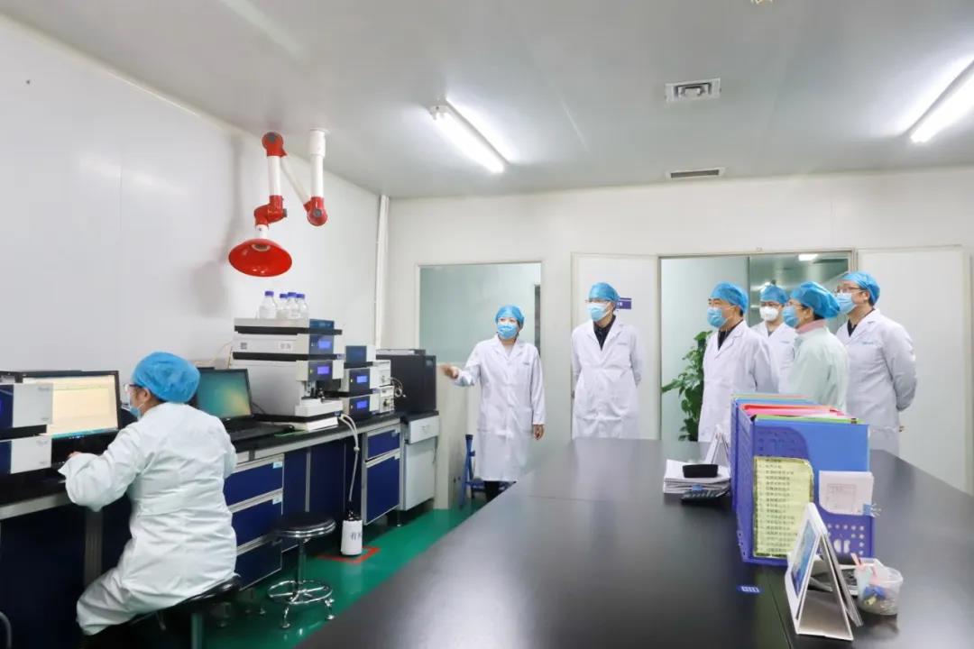 省委统战部副部长沈涛一行莅临球速体育股份考察调研