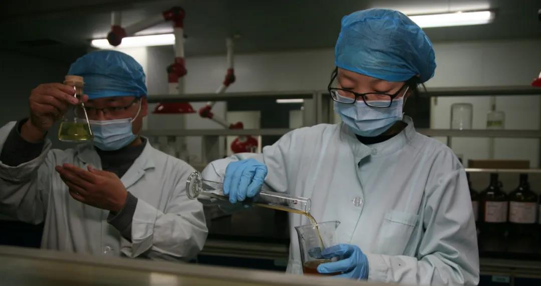 球速体育股份 | 复工复产 全力打赢2020疫后经营战