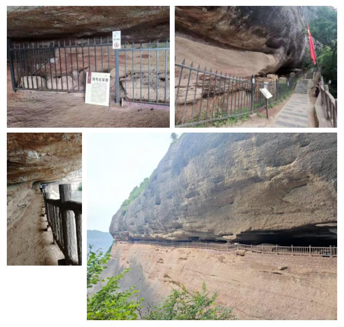 球速体育股份先进员工照金行