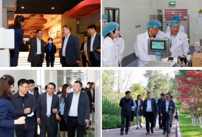 球速体育股份董事长邢雅江到访云南白药