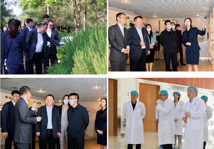 球速体育股份董事长邢雅江到访云南白药