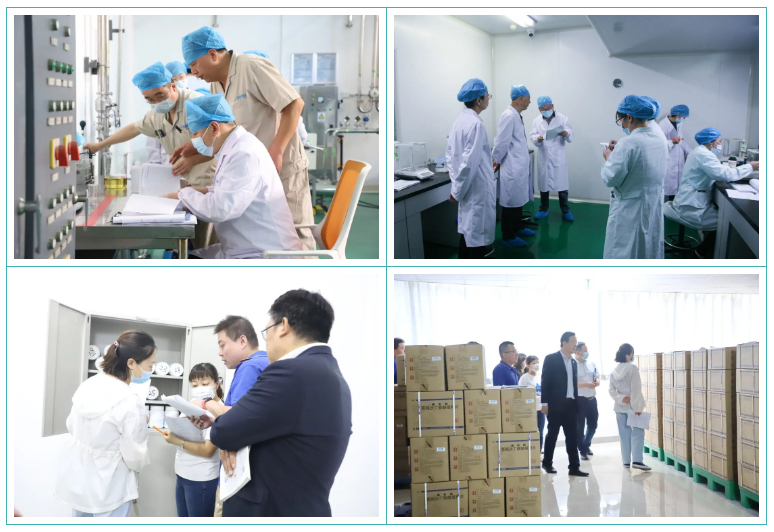 球速体育股份GMP符合性检查圆满结束
