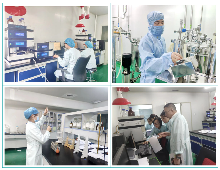 球速体育股份GMP符合性检查圆满结束