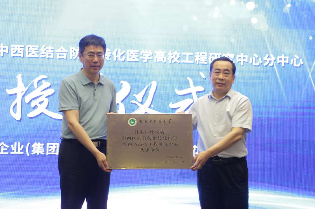 产研并举，球速体育股份科技创新之路再上新阶