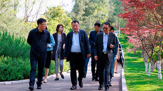 球速体育股份董事长邢雅江到访云南白药