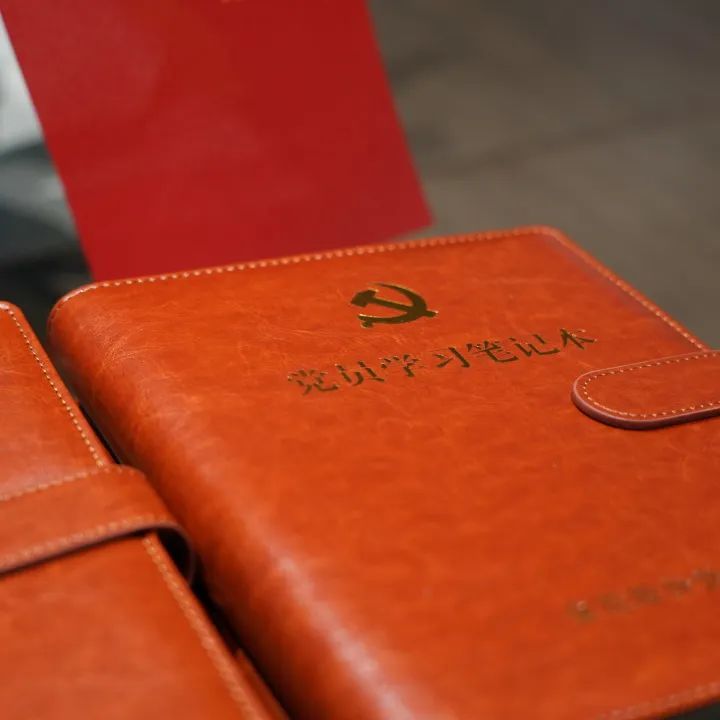 球速体育股份党支部召开一季度党员大会暨主题教育动员大会