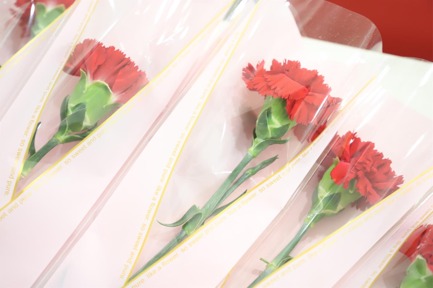 2022年球速体育股份母亲节观影活动