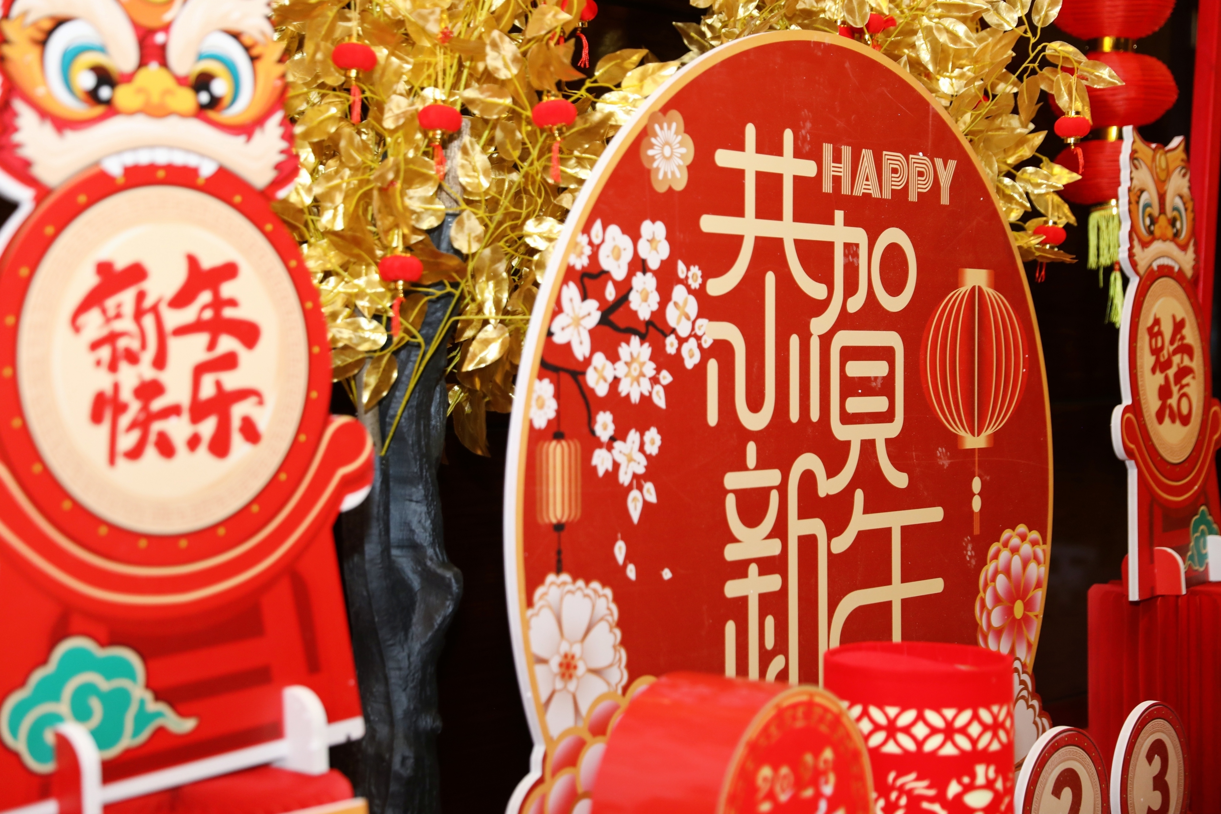 球速体育股份2023年年会